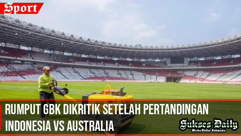 Rumput Gbk Dikritik Setelah Pertandingan